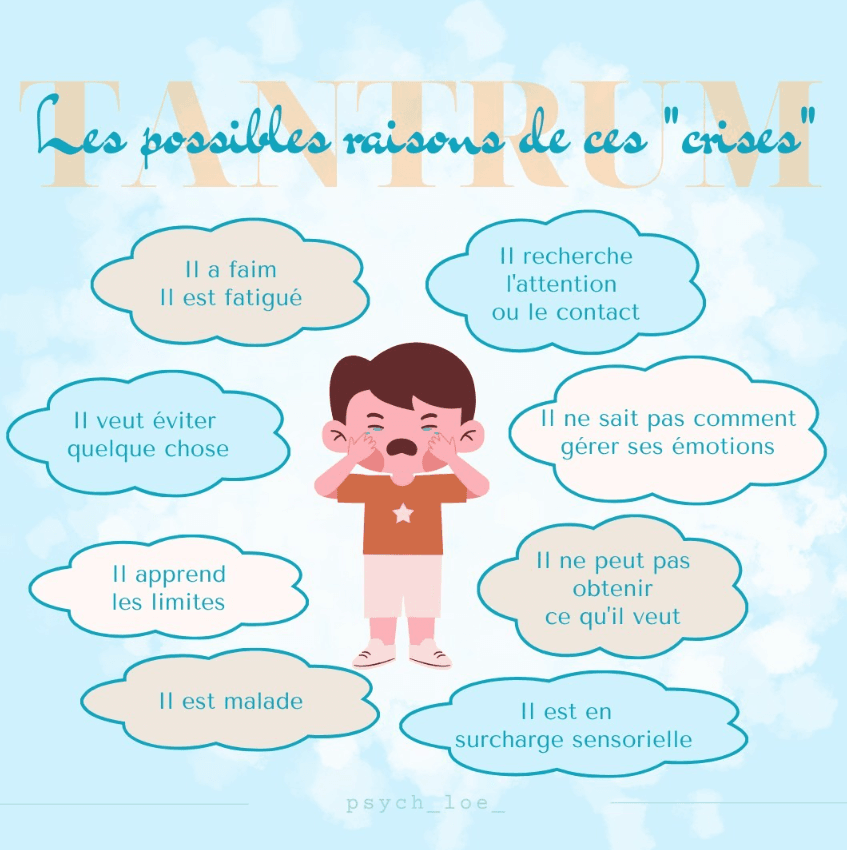 Crises chez l'enfant Chloé Vermeersch Psychologue